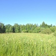 some-picture