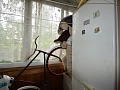 Квартира. Адрес: корпус 424 а фото 12