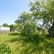 some-picture