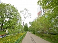 Квартира. Адрес: корп. 906 фото 19