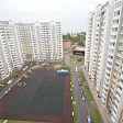 some-picture